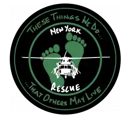 101st Rescue Squadron insignia