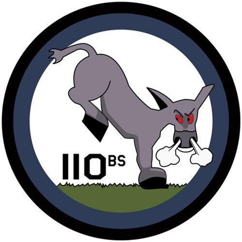 110th Bomb Squadron insignia