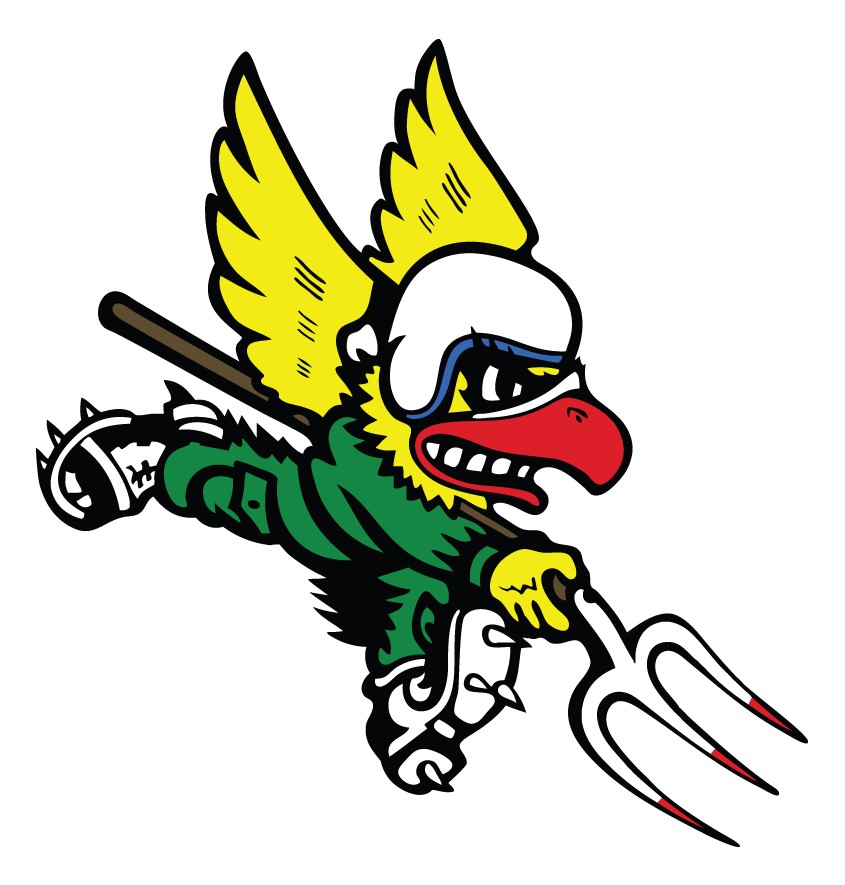 124th Attack Squadron insignia