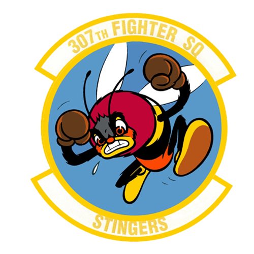 307th Fighter Squadron insignia